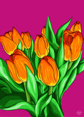 35 | Saison des tulipes