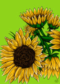 37 | Les tournesols