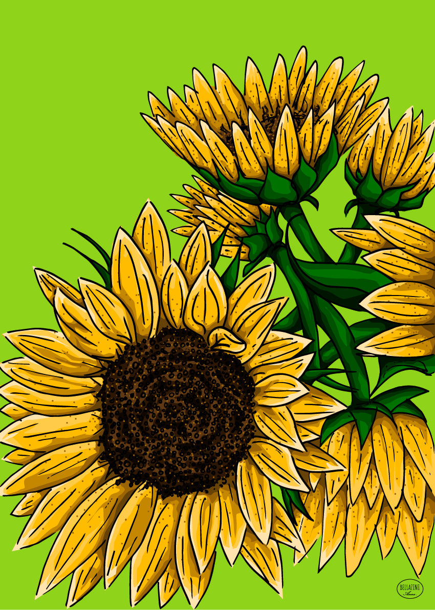 37 | Les tournesols