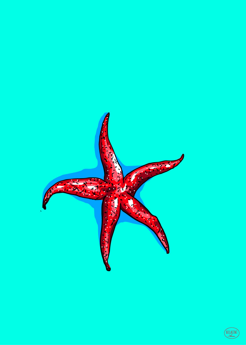 44 | Etoile de mer